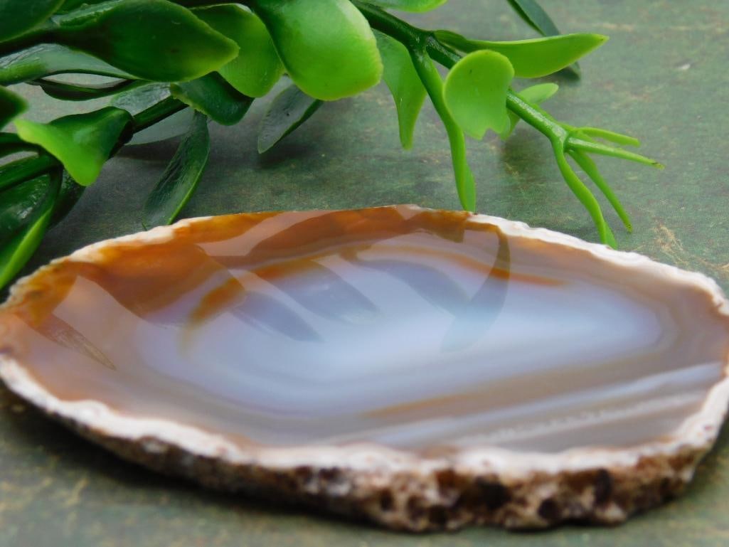 AGATE SLICE ROCK STONE LAPIDARY SPECIMEN - 2