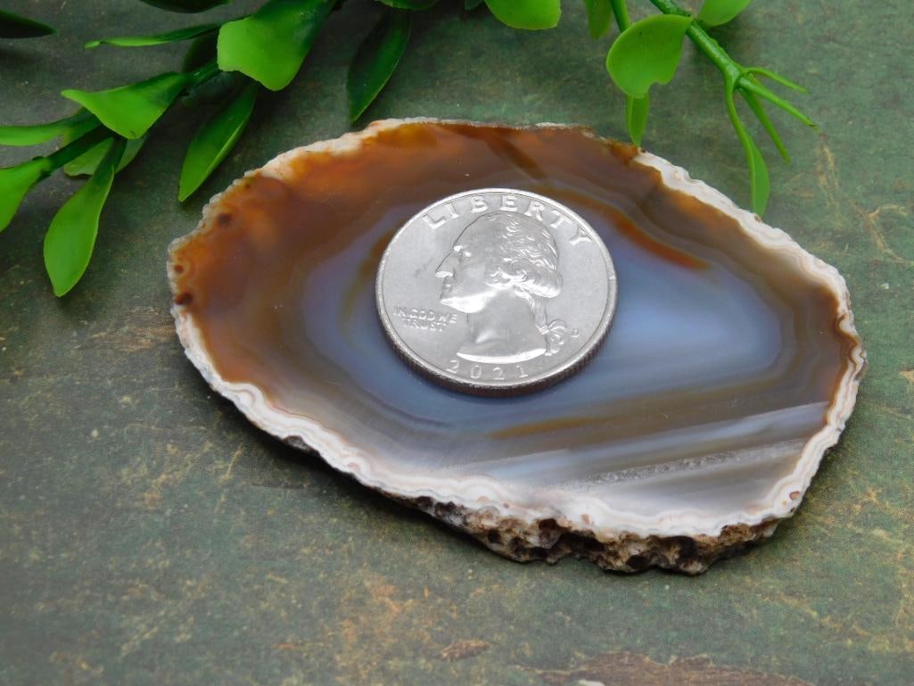 AGATE SLICE ROCK STONE LAPIDARY SPECIMEN - 4