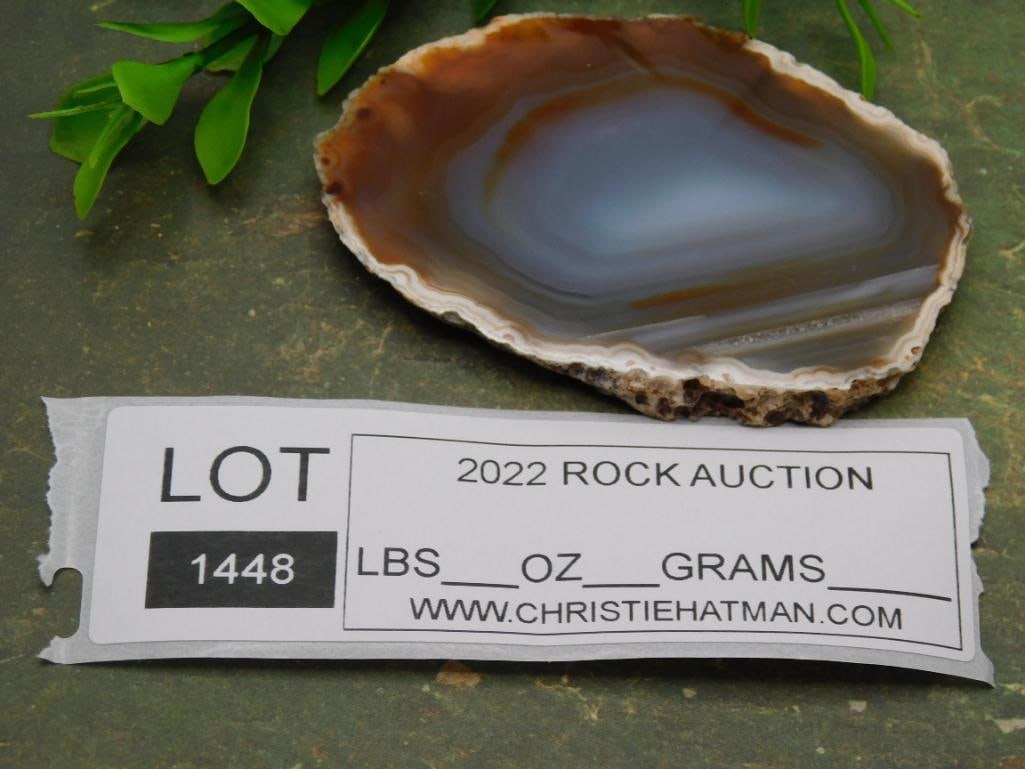 AGATE SLICE ROCK STONE LAPIDARY SPECIMEN - 5