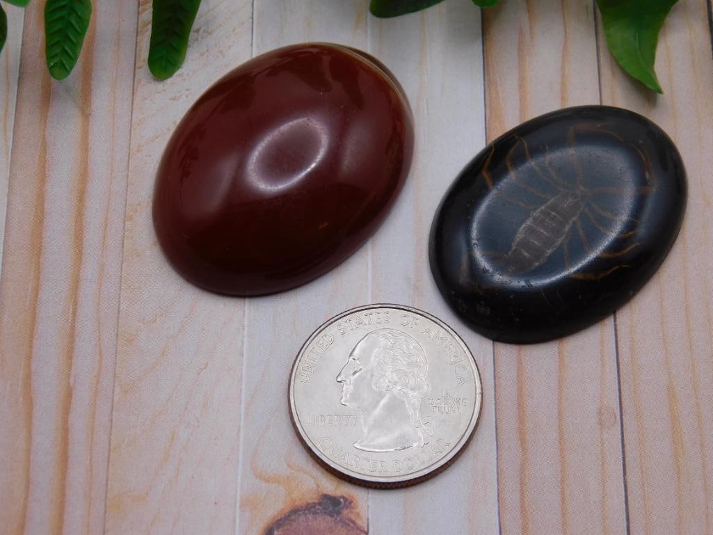 CABOCHONS ROCK STONE LAPIDARY SPECIMEN - 4