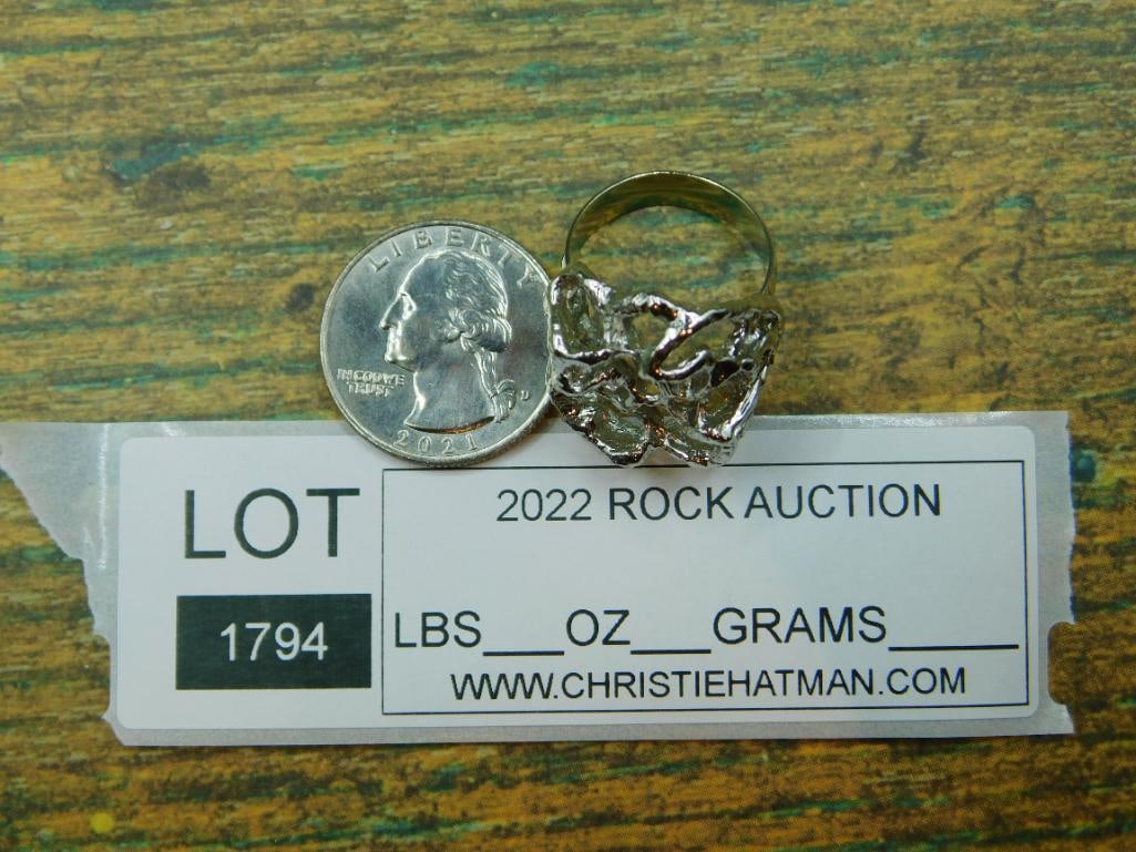 RING ROCK STONE LAPIDARY SPECIMEN - 4