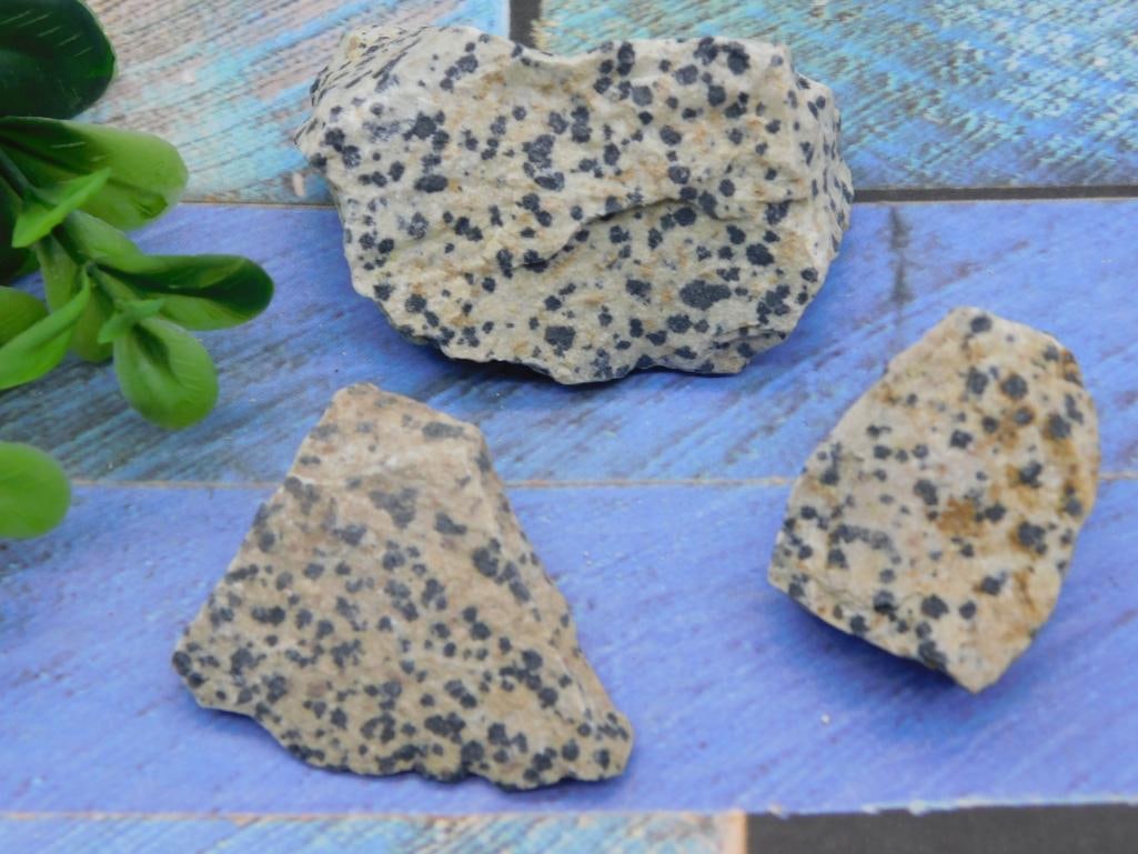 DALMATION JASPER ROCK STONE LAPIDARY SPECIMEN (1 of 2)