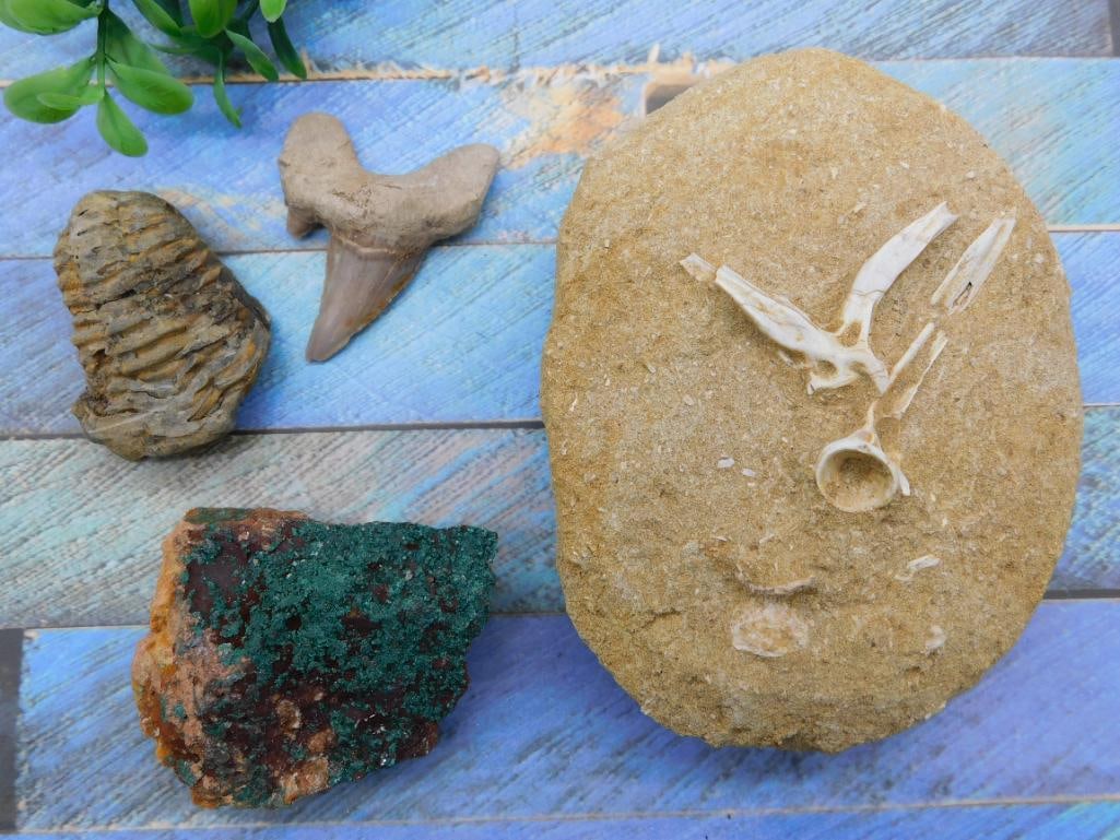 MIXED LOT ROCK STONE LAPIDARY SPECIMEN: MIXED LOT ROCK STONE LAPIDARY SPECIMEN