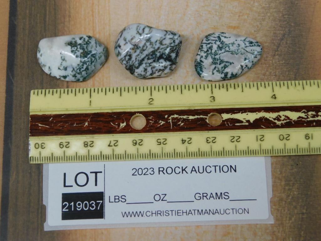 TREE AGATE ROCK STONE LAPIDARY SPECIMEN - 2