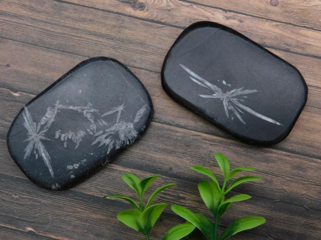 CHRYSANTHEMUM ROCK STONE LAPIDARY SPECIMEN: CHRYSANTHEMUM ROCK STONE LAPIDARY SPECIMEN