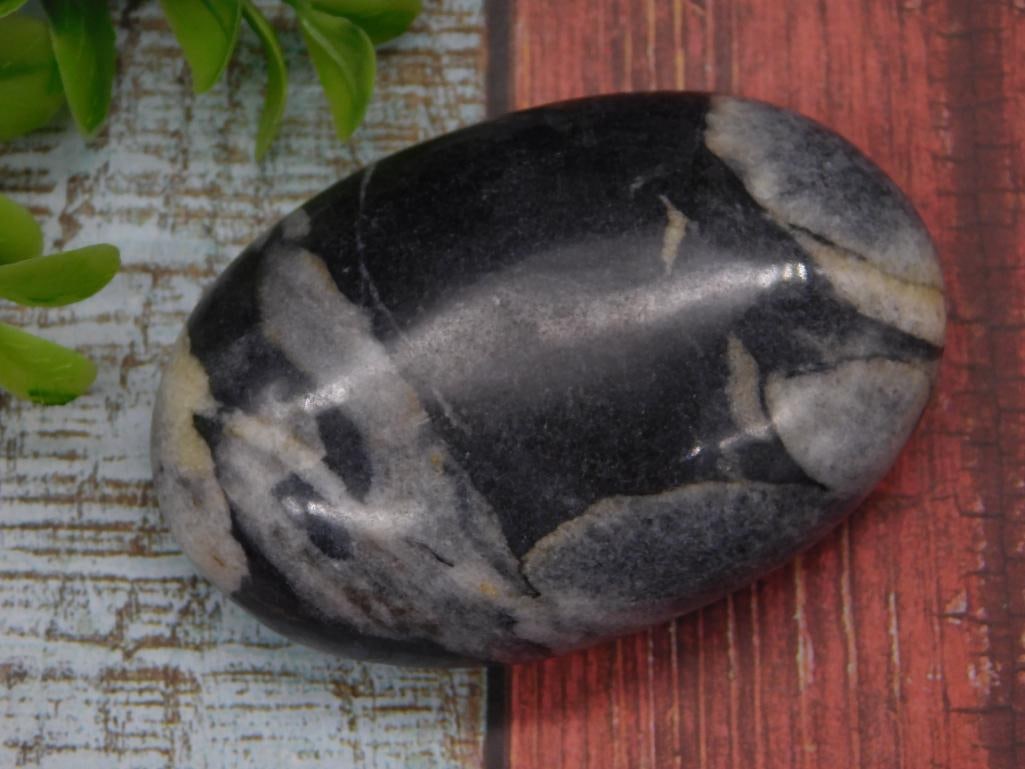 PALM STONE ROCK STONE LAPIDARY SPECIMEN (1 of 2)