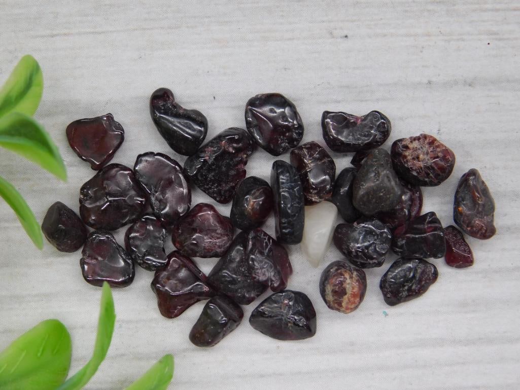 Lot of Tumbled Garnet Stones - 12 Grams: Lot of Tumbled Garnet Stones - 12 Grams