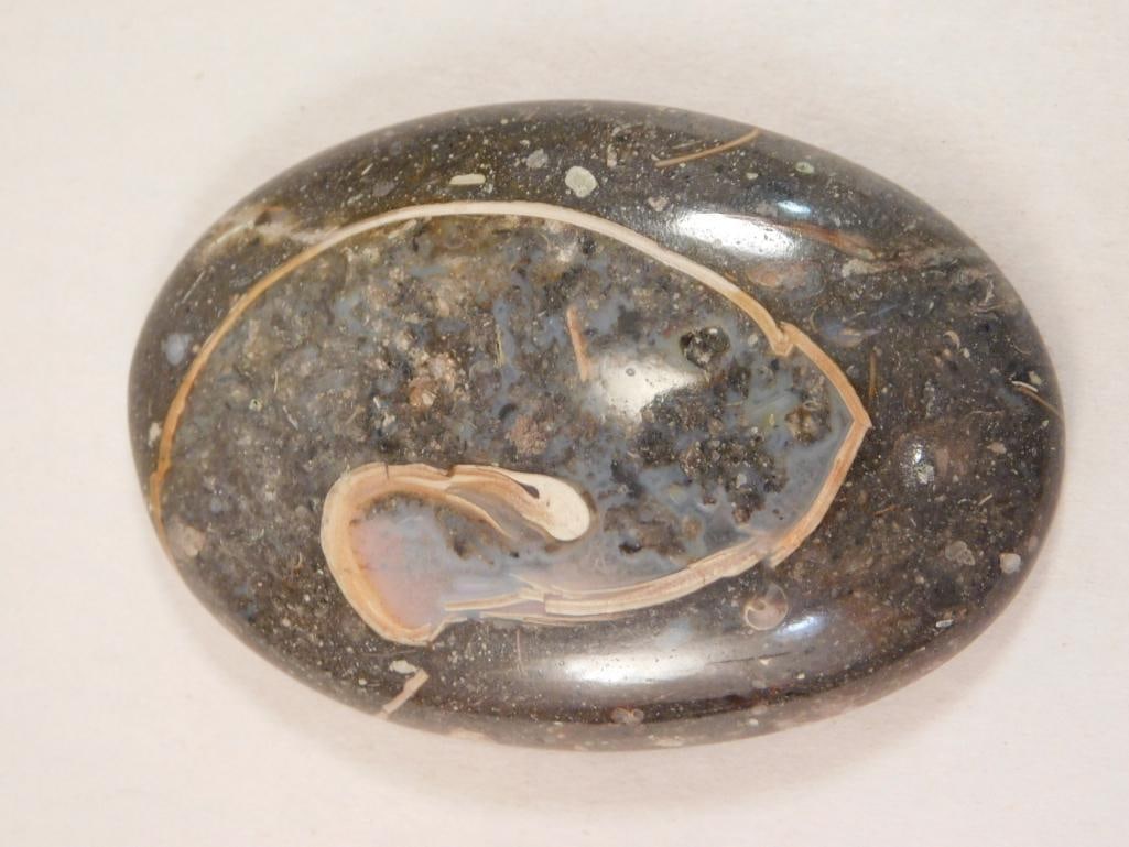 COLUS CABOCHON ROCK STONE LAPIDARY SPECIMEN: WELCOME TO HATMAN AUCTIONS! SPECIAL NOTICE: Please see photos for measurements and descriptions. ***Yes, we have in house shipping with MANY REPEAT CUSTOMERS because of our streamlined service.