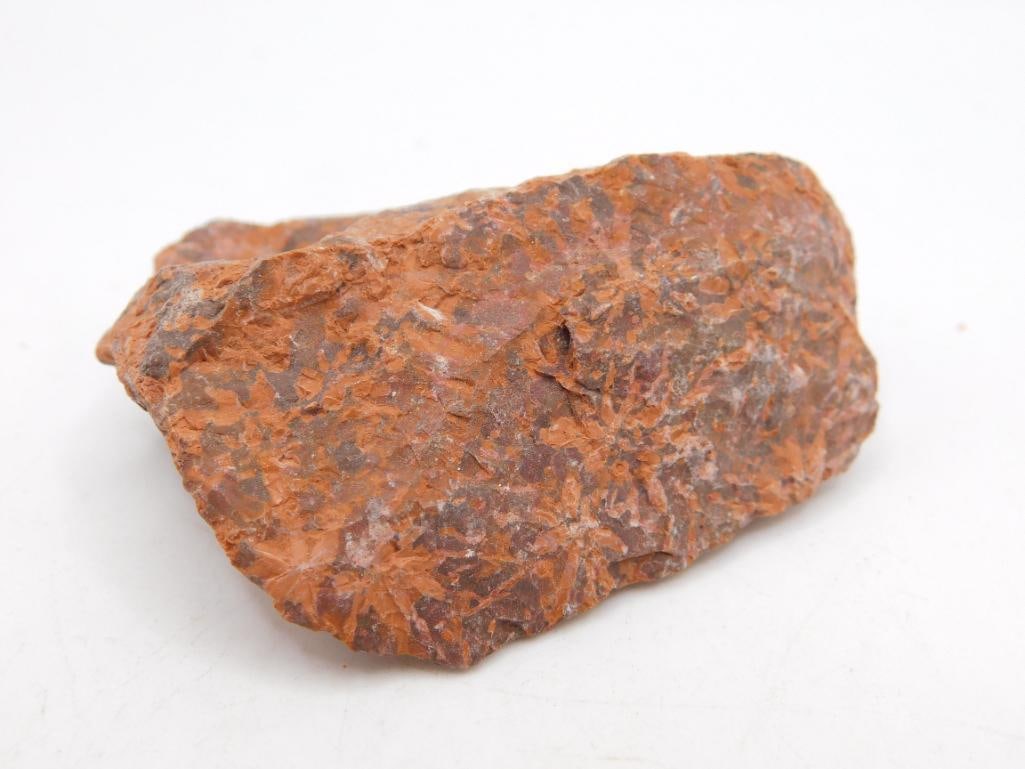 STARBURST JASPER ROCK STONE LAPIDARY SPECIMEN: WELCOME TO HATMAN AUCTIONS! SPECIAL NOTICE: Please see photos for measurements and descriptions. ***Yes, we have in house shipping with MANY REPEAT CUSTOMERS because of our streamlined service.