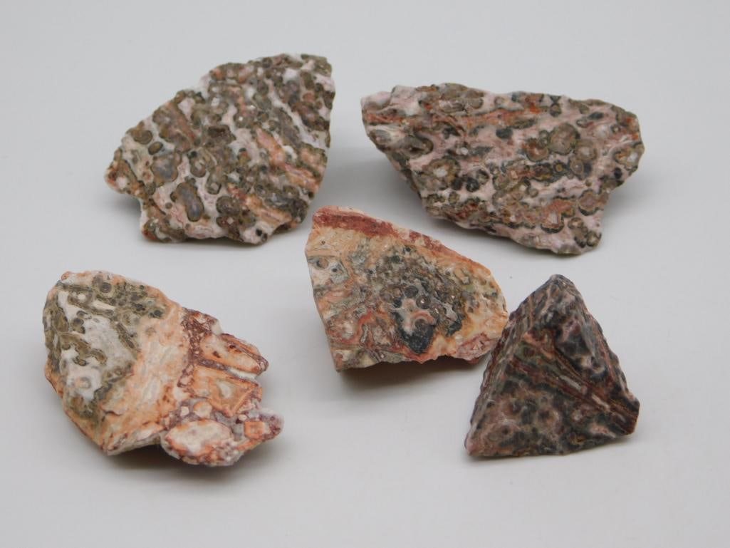 LEOPARD SKIN JASPER ROCK STONE LAPIDARY SPECIMEN: WELCOME TO HATMAN AUCTIONS! SPECIAL NOTICE: Please see photos for measurements and descriptions. ***Yes, we have in house shipping with MANY REPEAT CUSTOMERS because of our streamlined service.