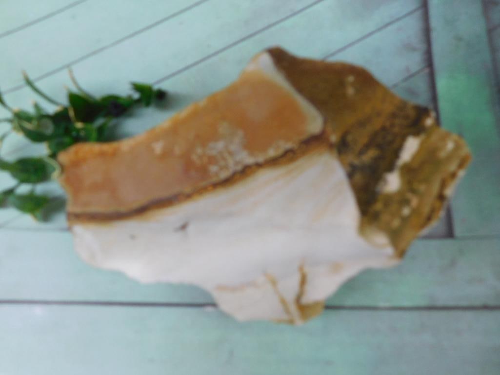 JASPER ROCK STONE LAPIDARY SPECIMEN: Jasper Rock Stone Lapidary Specimen ? Authentic estate find offered in our online auction. Perfect for collectors, resellers, and enthusiasts of vintage, antiques, minerals, rocks, crystals, jewelry,