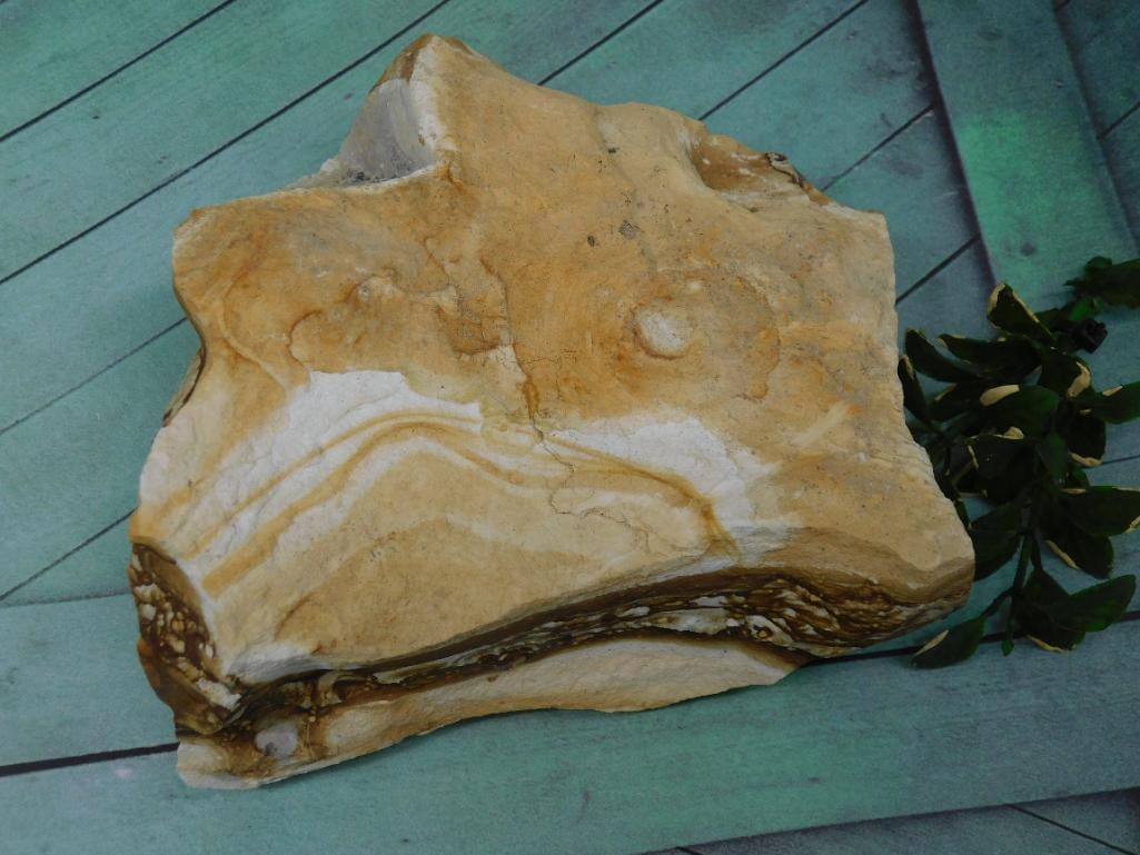 JASPER ROCK STONE LAPIDARY SPECIMEN: Jasper Rock Stone Lapidary Specimen ? Authentic estate find offered in our online auction. Perfect for collectors, resellers, and enthusiasts of vintage, antiques, minerals, rocks, crystals, jewelry,