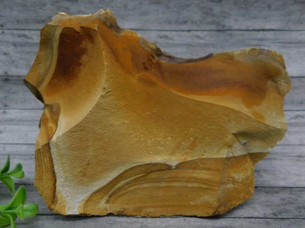 JASPER ROCK STONE LAPIDARY SPECIMEN: Jasper Rock Stone Lapidary Specimen ? Authentic estate find offered in our online auction. Perfect for collectors, resellers, and enthusiasts of vintage, antiques, minerals, rocks, crystals, jewelry,