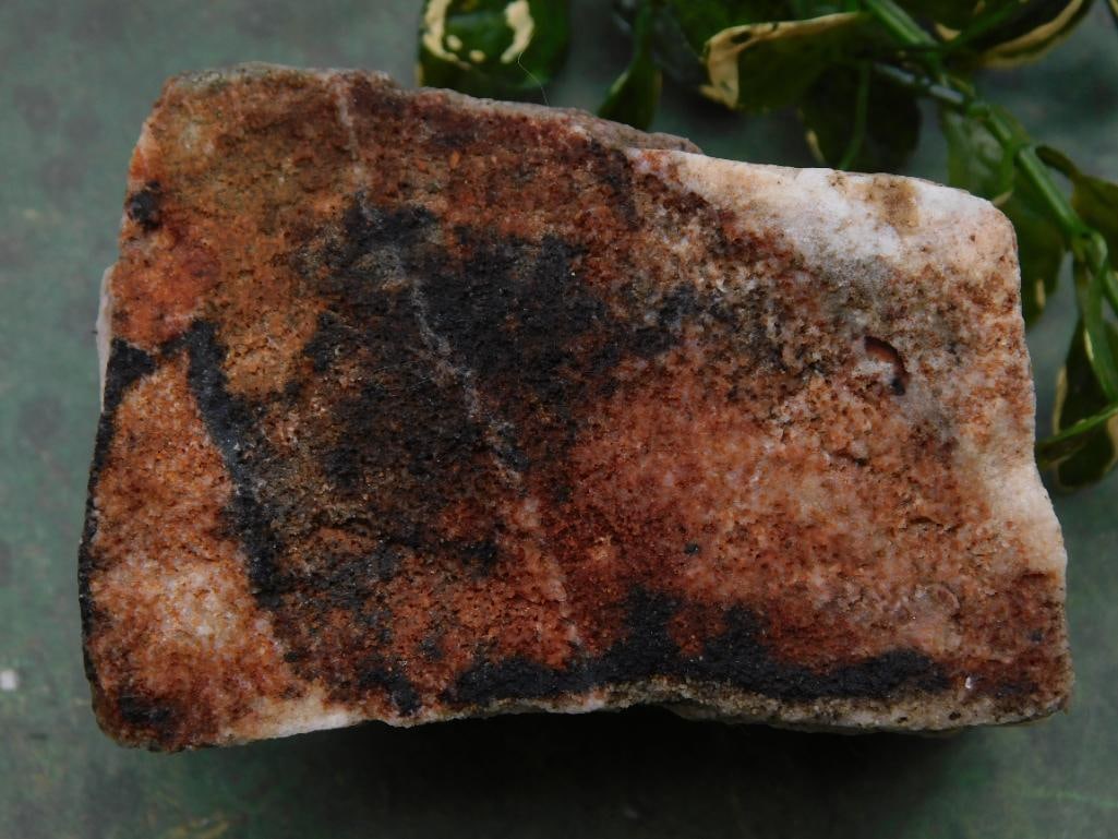 Rock Stone Lapidary Specimen: Rock Stone Lapidary Specimen ? Authentic estate find offered in our online auction. Perfect for collectors, resellers, and enthusiasts of vintage, antiques, minerals, rocks, crystals, jewelry,