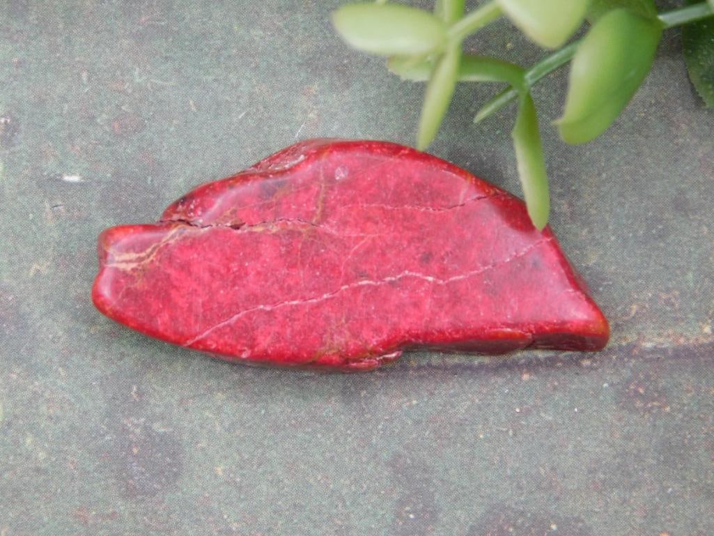 Impression Jasper Rock Stone Lapidary Specimen: Impression Jasper Rock Stone Lapidary Specimen ? Authentic estate find offered in our online auction. Perfect for collectors, resellers, and enthusiasts of vintage, antiques, minerals, rocks,
