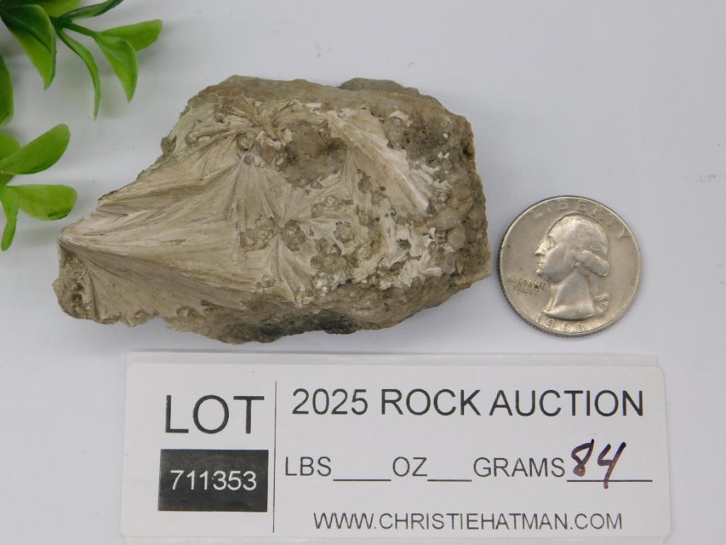 Rock Stone Lapidary Specimen - 3