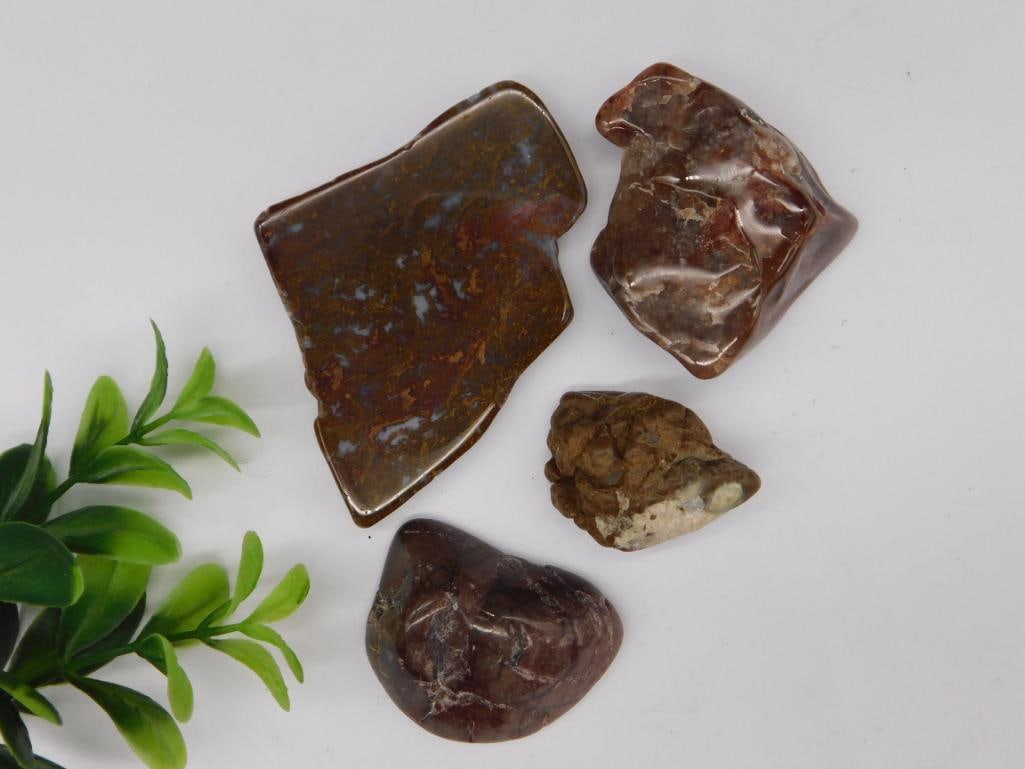 Rock Stone Lapidary Specimen: Rock Stone Lapidary Specimen