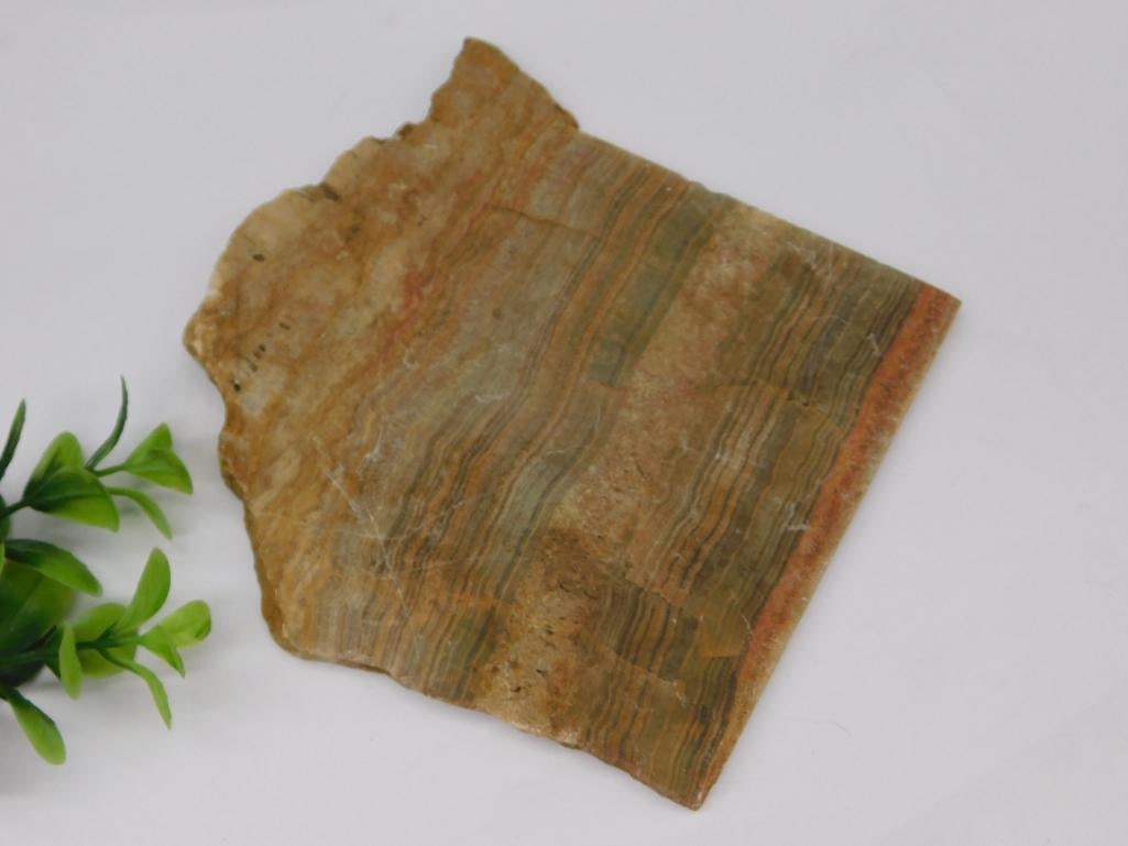 Ribbon Jasper Slab ROCK STONE LAPIDARY SPECIMEN: Ribbon Jasper Slab Rock Stone Lapidary Specimen ? Authentic estate find offered in our online auction. Perfect for collectors, resellers, and enthusiasts of vintage, antiques, minerals, rocks,
