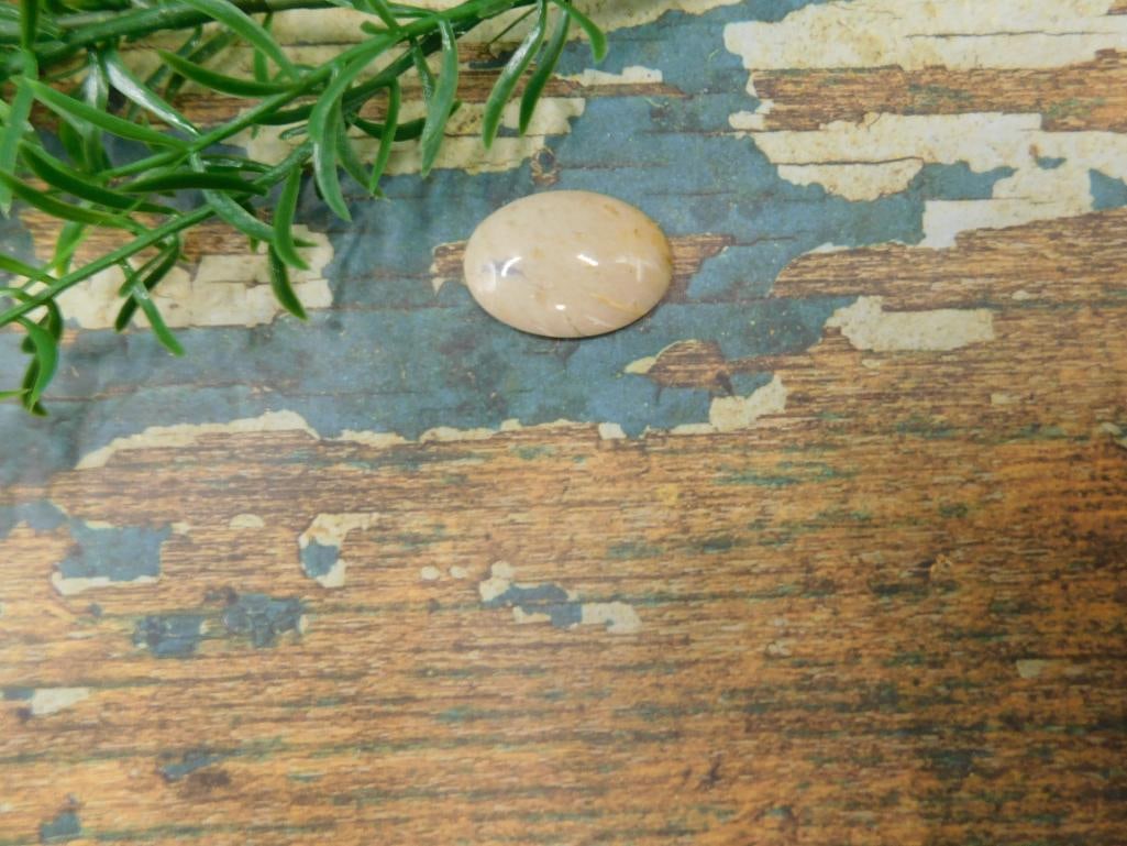 JEWELRY SALE! ROCK STONE LAPIDARY SPECIMEN: JEWELRY SALE! ROCK STONE LAPIDARY SPECIMEN