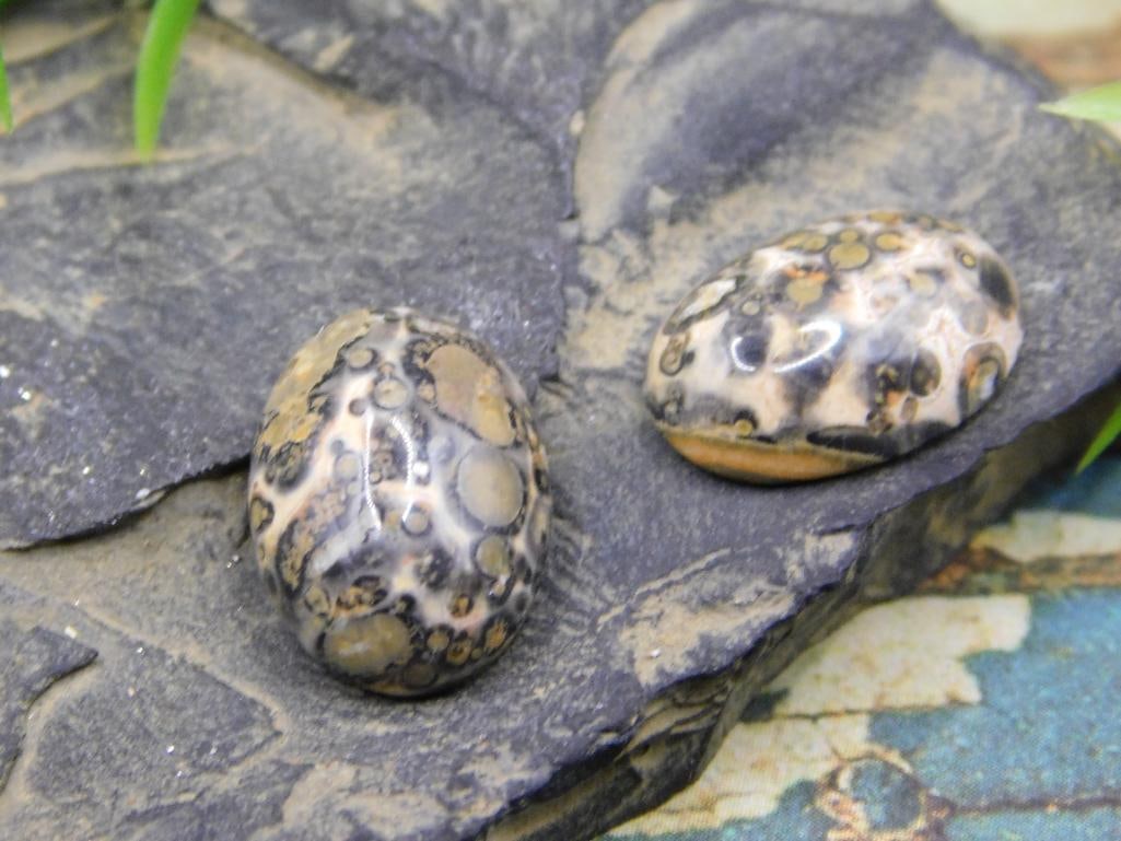 JEWELRY SALE! ROCK STONE LAPIDARY SPECIMEN (1 of 2)
