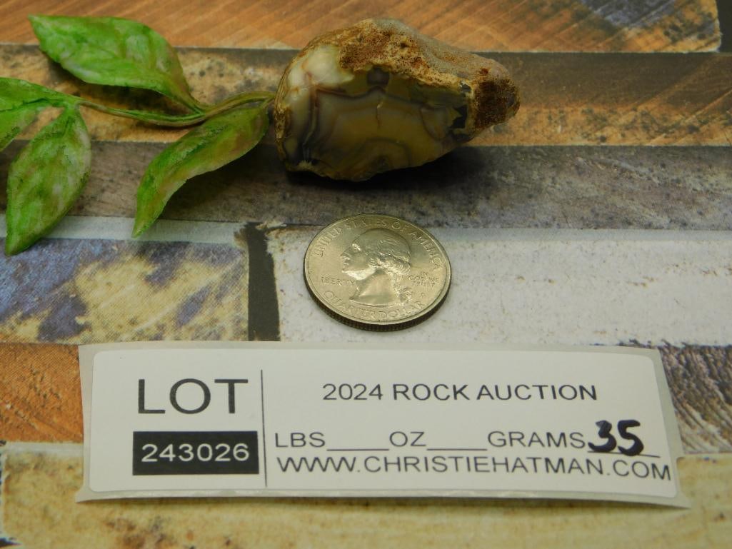 ROCK STONE LAPIDARY SPECIMEN - 2