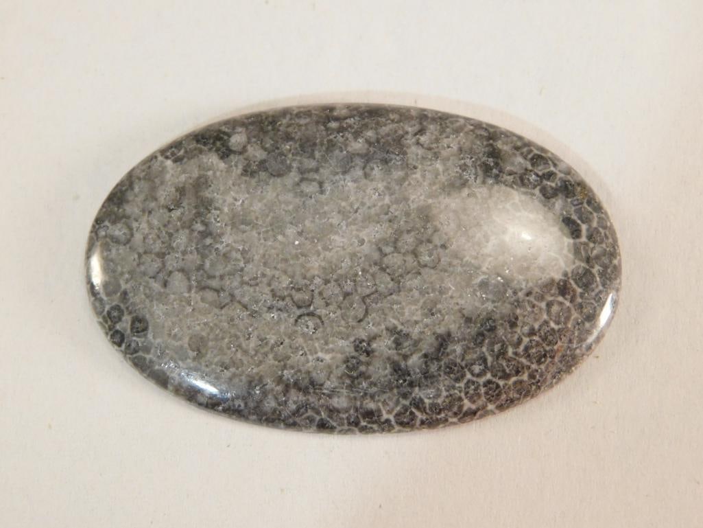 BLACK CORAL CABOCHON ROCK STONE LAPIDARY SPECIMEN: BLACK CORAL CABOCHON ROCK STONE LAPIDARY SPECIMEN