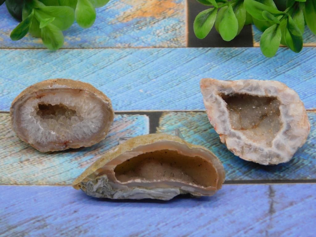 GEODES ROCK STONE LAPIDARY SPECIMEN (1 of 2)