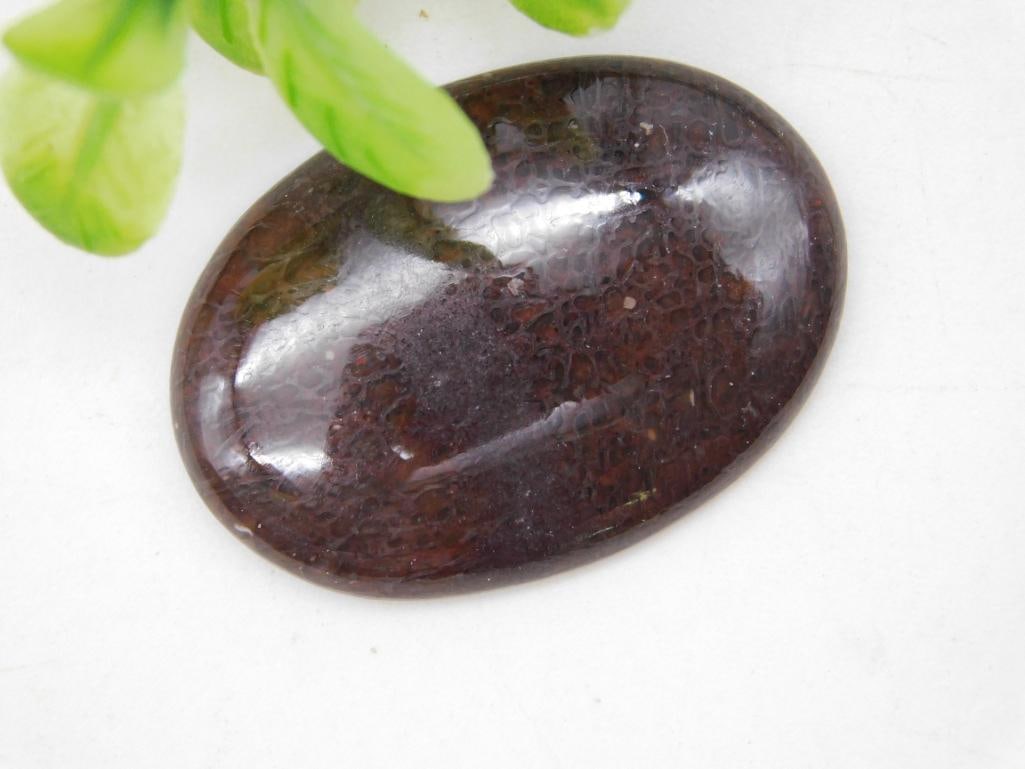 CABOCHON ROCK STONE LAPIDARY SPECIMEN: CABOCHON ROCK STONE LAPIDARY SPECIMEN