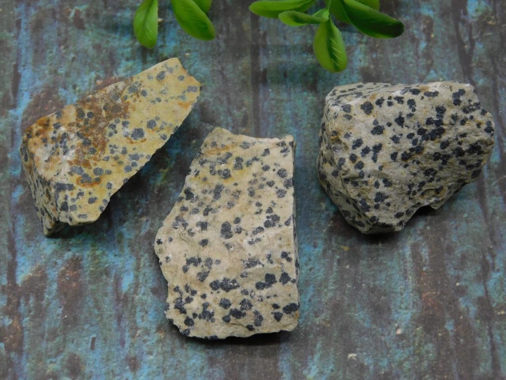 DALMATION JASPER ROCK STONE LAPIDARY SPECIMEN: DALMATION JASPER ROCK STONE LAPIDARY SPECIMEN