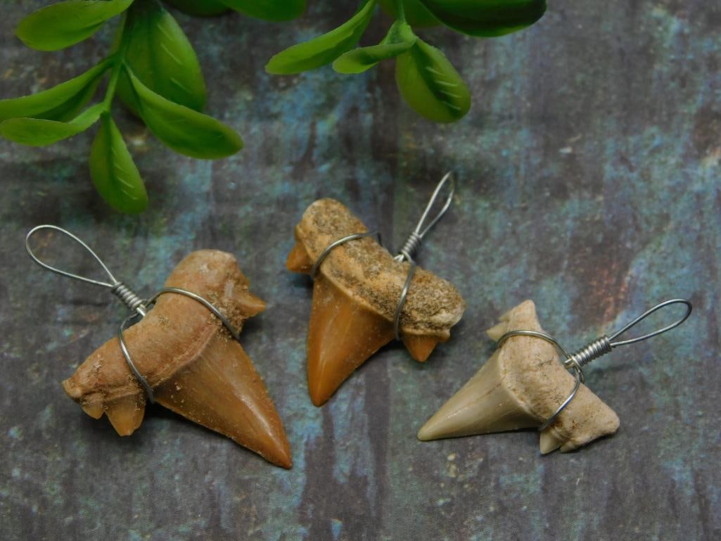 SHARK TEETH PENDANTS ROCK STONE LAPIDARY SPECIMEN (1 of 2)