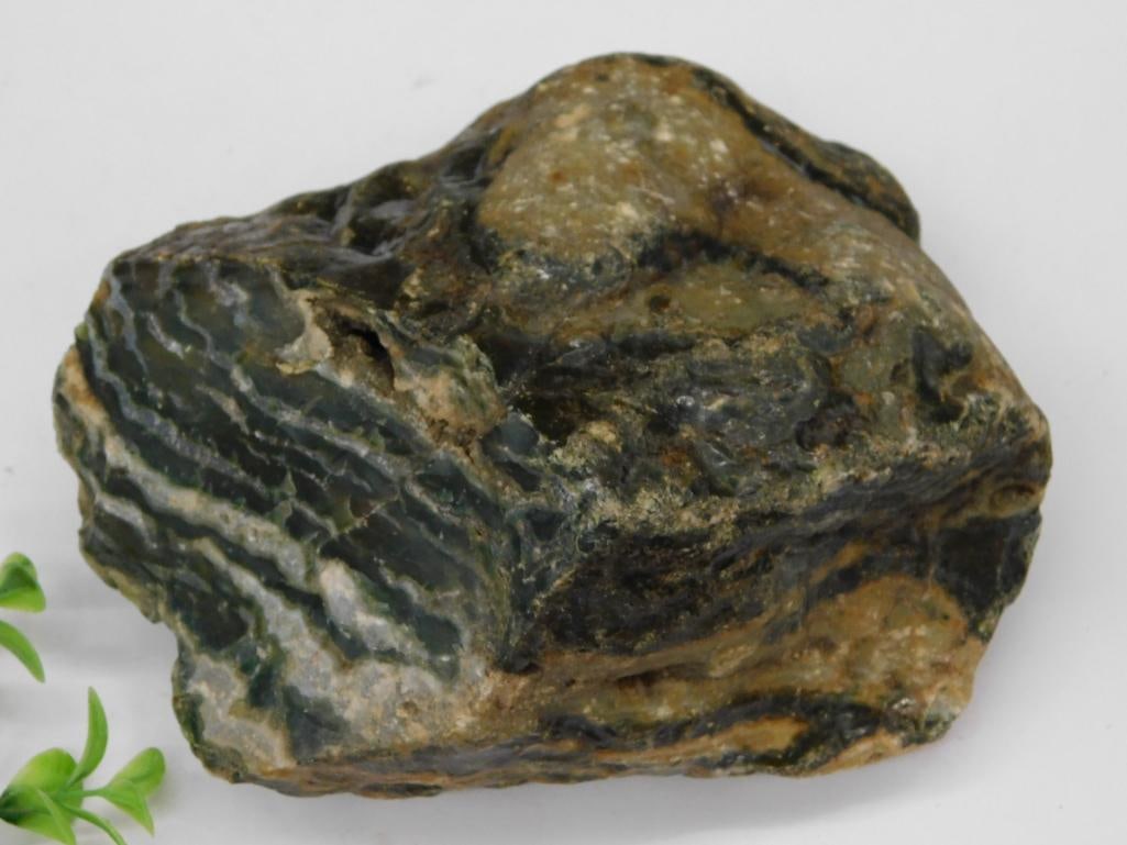 Zebra Rock Specimen With Unique Patterns Rock Stone Lapidary Specimen: Zebra Rock Specimen With Unique Patterns Rock Stone Lapidary Specimen