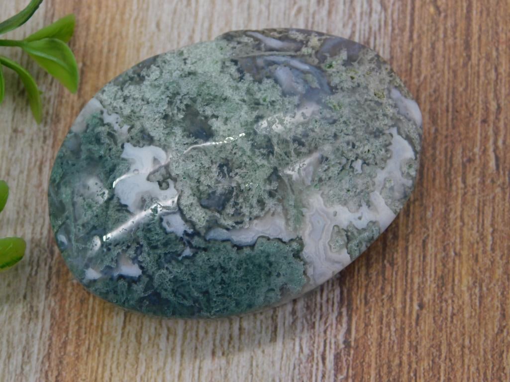 B MOSS PLUME AGATE ROCK STONE LAPIDARY SPECIMEN: B MOSS PLUME AGATE ROCK STONE LAPIDARY SPECIMEN
