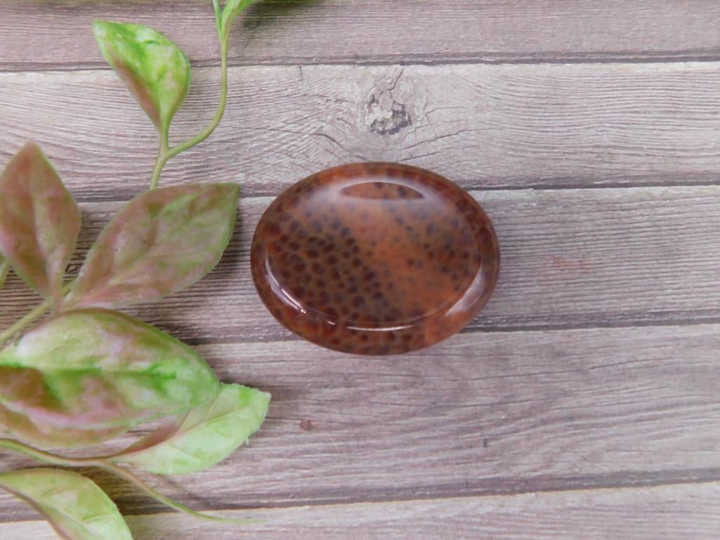 Polished Fire Agate Rock Stone Lapidary Specimen: Polished Fire Agate Rock Stone Lapidary Specimen