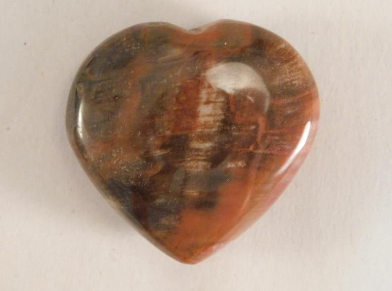 PETRIFIED WOOD HEART ROCK STONE LAPIDARY SPECIMEN (1 of 2)