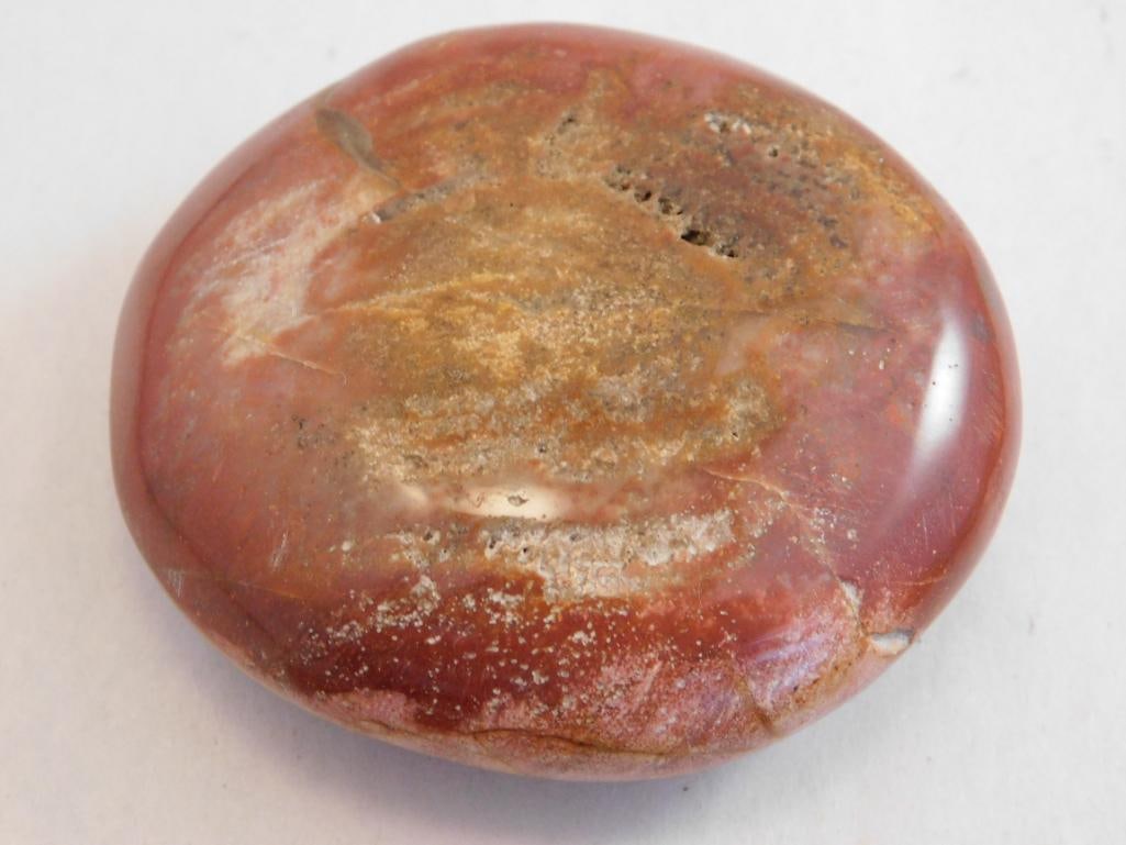 PETRIFIED WOOD ROCK STONE LAPIDARY SPECIMEN (1 of 2)
