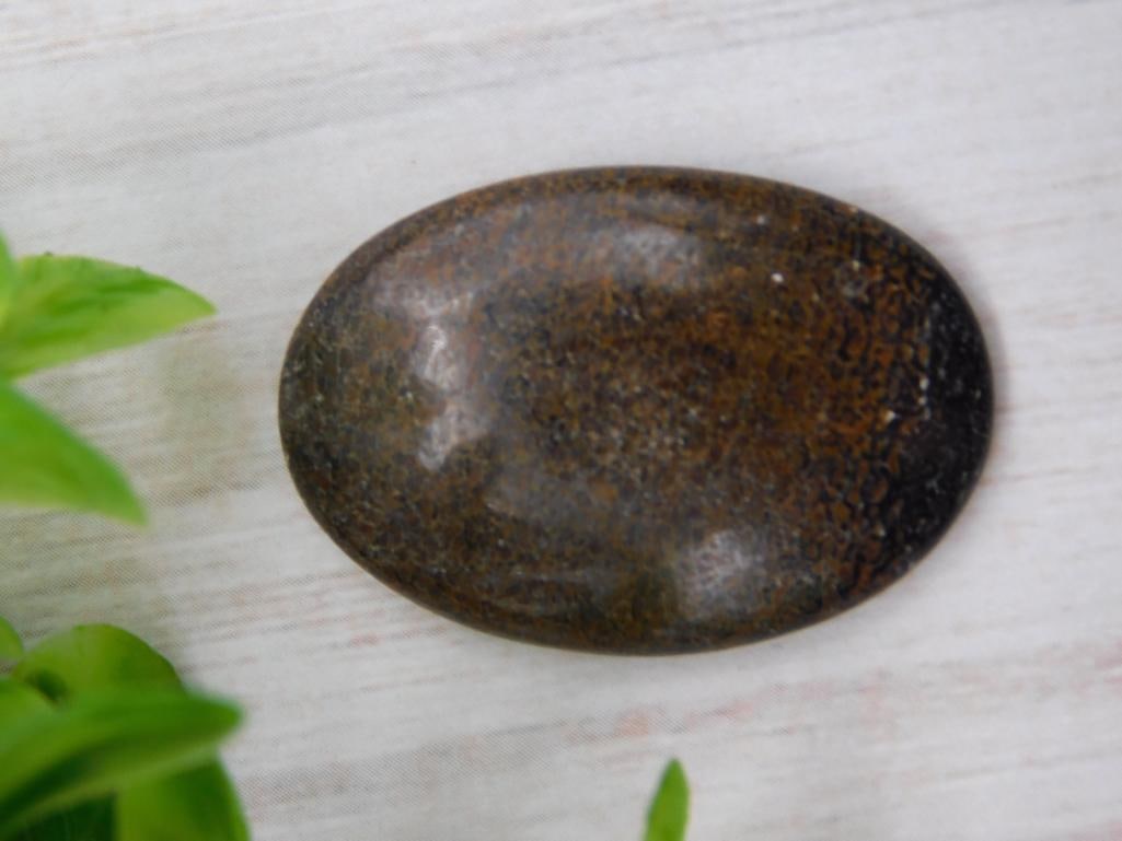 DINOSAUR BONE CABOCHON ROCK STONE LAPIDARY SPECIMEN (1 of 2)