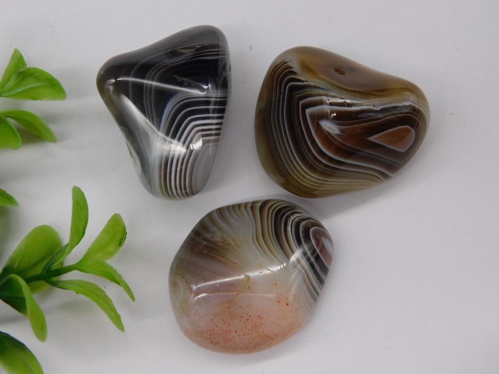 Three Botswana Agate Polished Stones, 60 Grams Rock Stone Lapidary Specimen: Three Botswana Agate Polished Stones, 60 Grams Rock Stone Lapidary Specimen