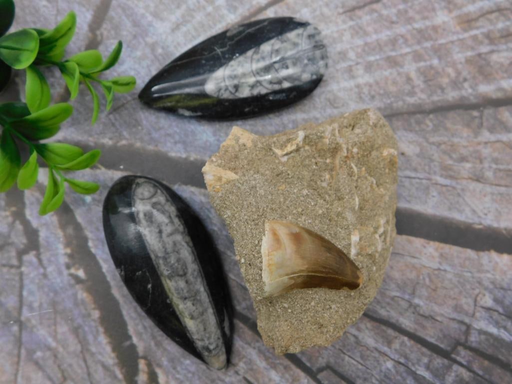 MIXED LOT ROCK STONE LAPIDARY SPECIMEN: MIXED LOT ROCK STONE LAPIDARY SPECIMEN