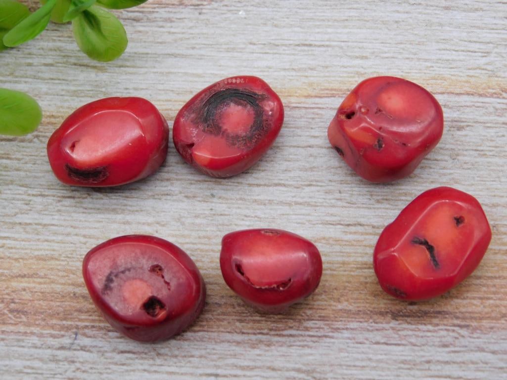 RED CORAL ROCK STONE LAPIDARY SPECIMEN: RED CORAL ROCK STONE LAPIDARY SPECIMEN