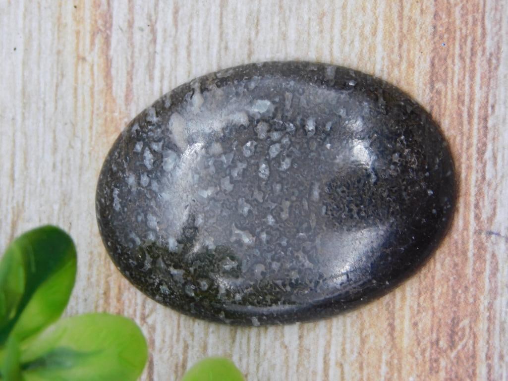 DINOSAUR BONE CABOCHON ROCK STONE LAPIDARY SPECIMEN (1 of 2)