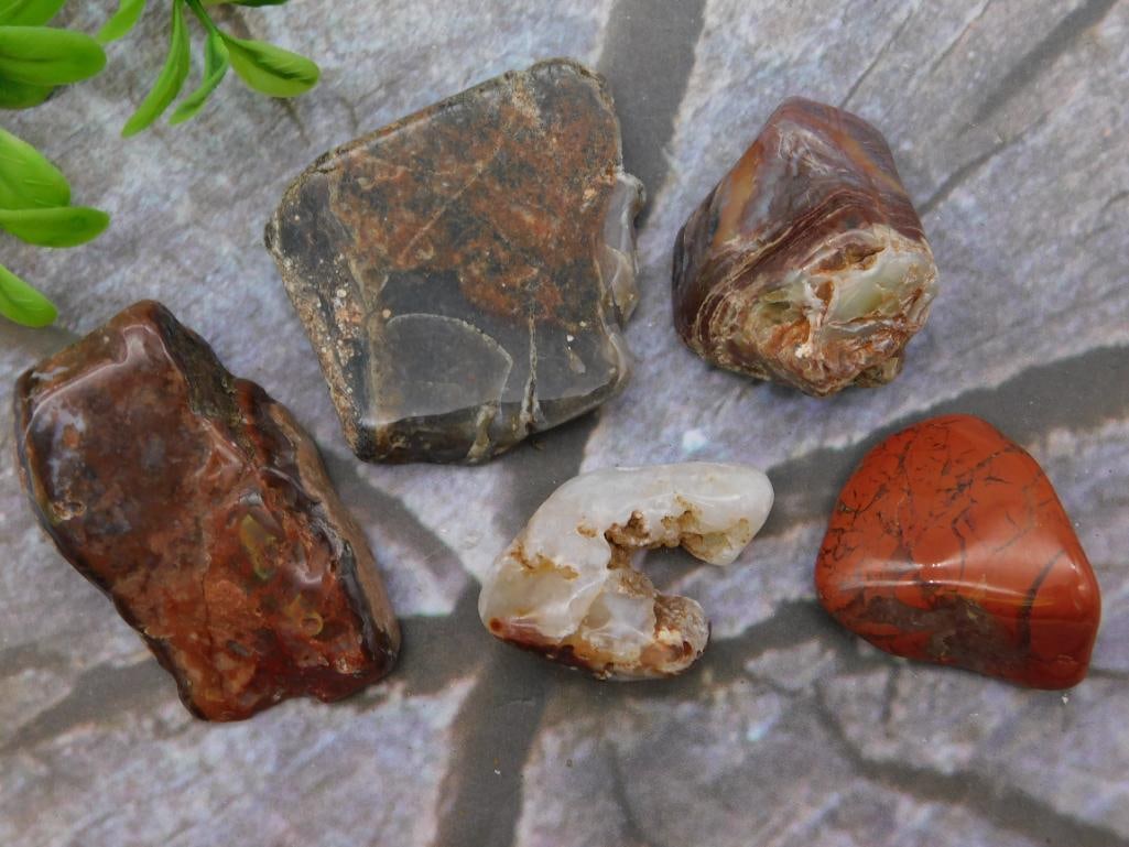MIXED LOT ROCK STONE LAPIDARY SPECIMEN: MIXED LOT ROCK STONE LAPIDARY SPECIMEN