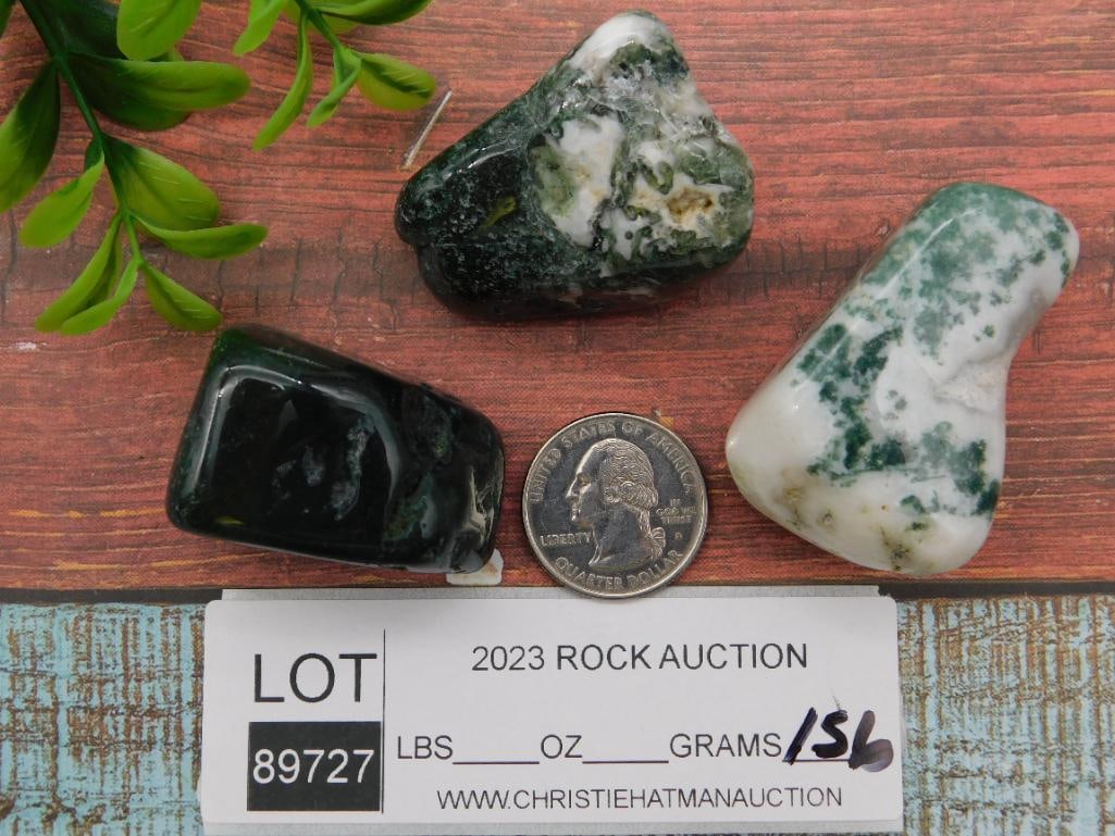 TREE AGATE ROCK STONE LAPIDARY SPECIMEN - 2