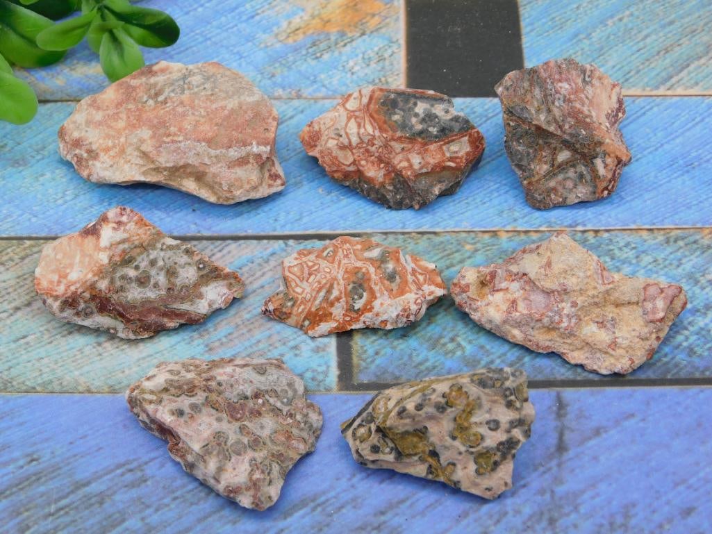 LEOPARD SKIN JASPER ROCK STONE LAPIDARY SPECIMEN: LEOPARD SKIN JASPER ROCK STONE LAPIDARY SPECIMEN