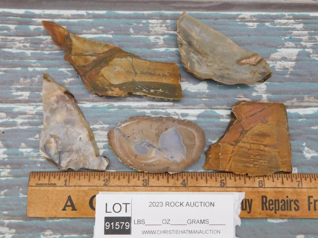 MIXED LOT ROCK STONE LAPIDARY SPECIMEN - 2