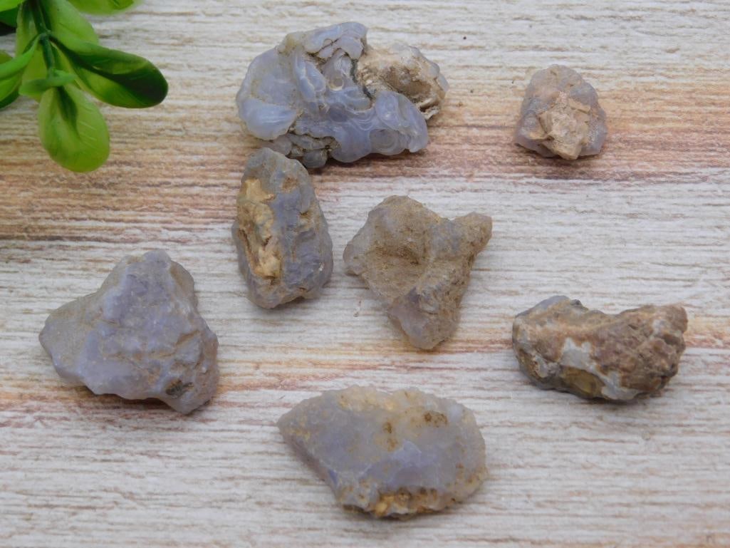 ELLENSBURG AGATE ROCK STONE LAPIDARY SPECIMEN: ELLENSBURG AGATE ROCK STONE LAPIDARY SPECIMEN