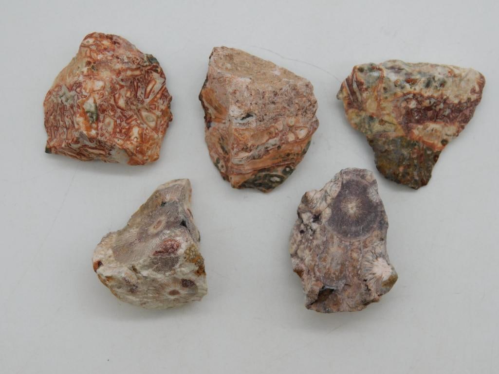 RHYOLITE ROCK STONE LAPIDARY SPECIMEN (1 of 2)