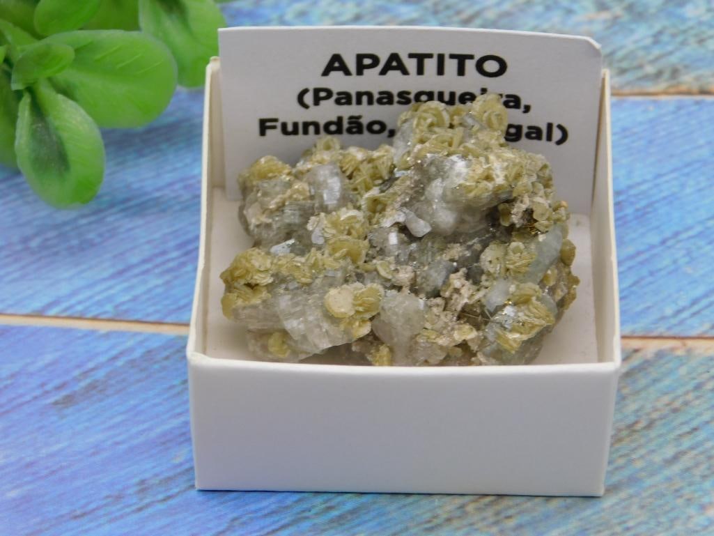 PANASQUIERA MINE PORTUGAL ROCK STONE LAPIDARY SPECIMEN: PANASQUIERA MINE PORTUGAL ROCK STONE LAPIDARY SPECIMEN