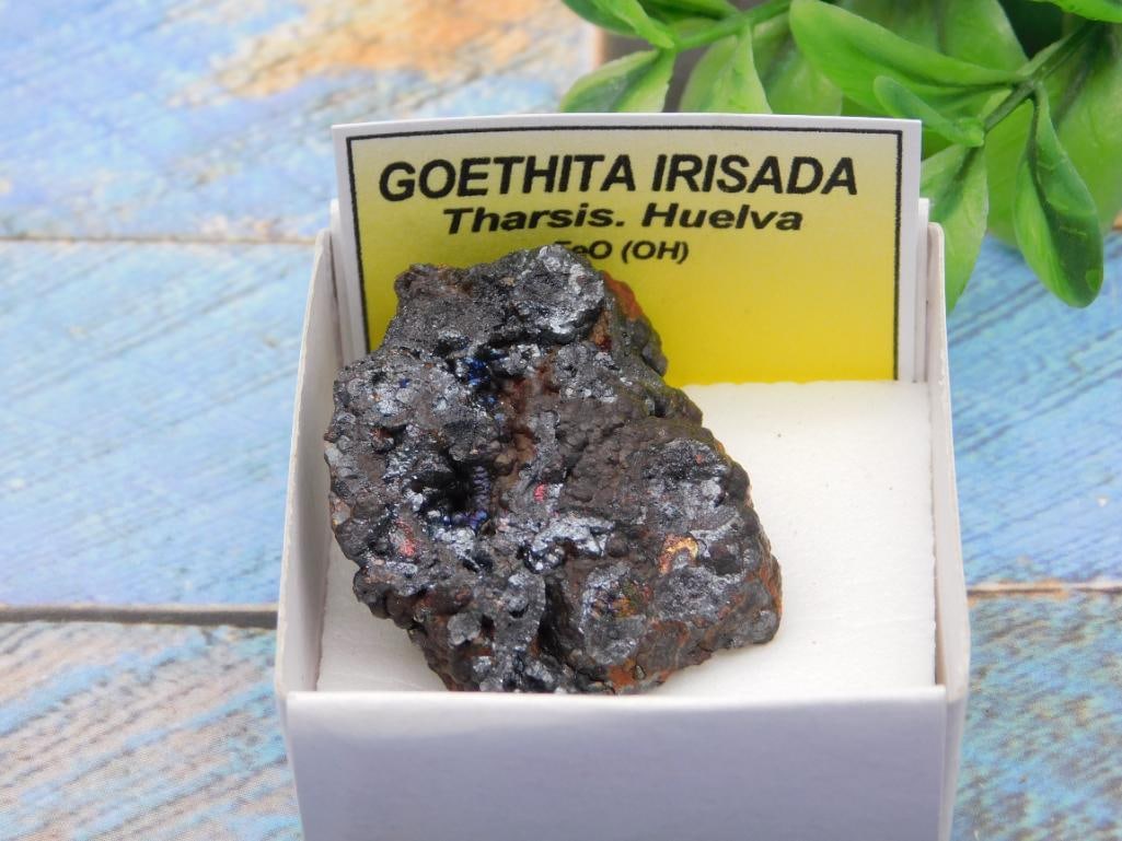 GOETHITA IRISADA ROCK STONE LAPIDARY SPECIMEN: GOETHITA IRISADA ROCK STONE LAPIDARY SPECIMEN
