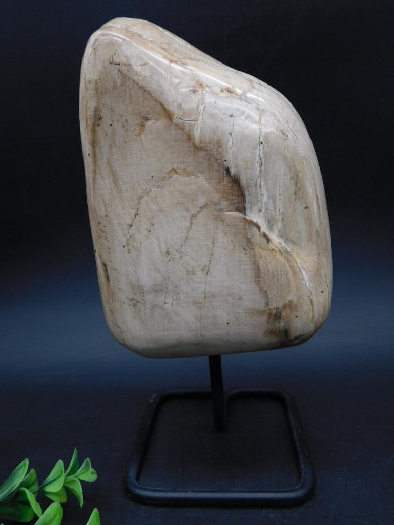 PETRIFIED WOOD DISPLAY ROCK STONE LAPIDARY SPECIMEN (1 of 3)