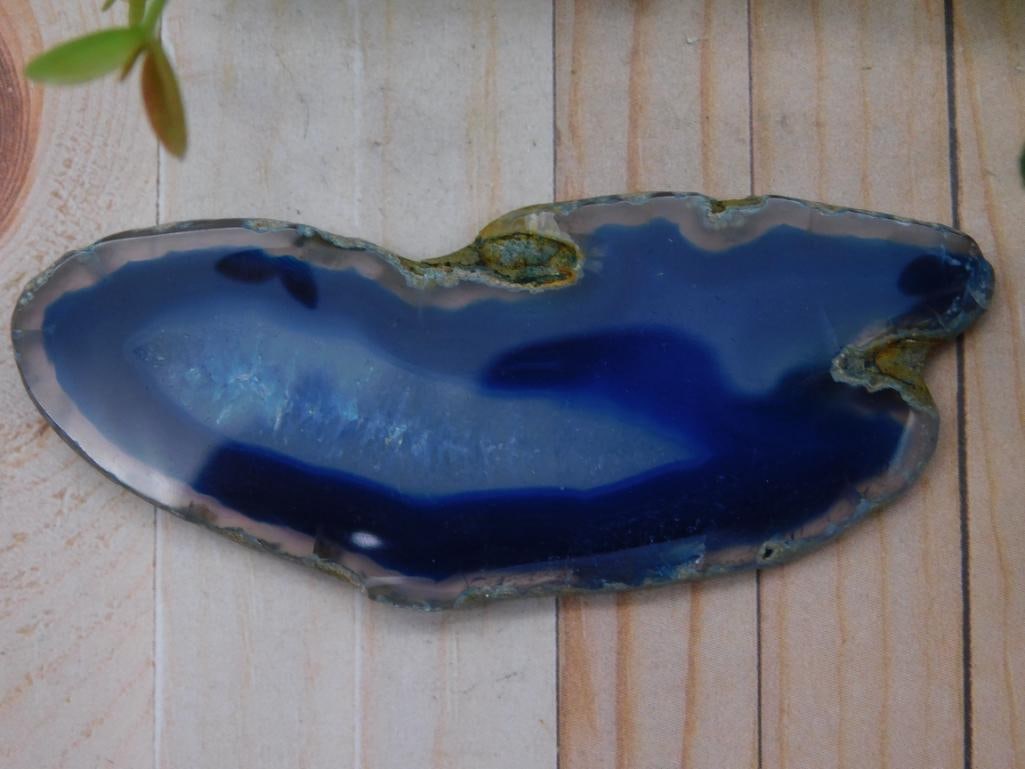 Blue Agate Slice for 2025 Rock Auction Rock Stone Lapidary Specimen: Blue Agate Slice for 2025 Rock Auction Rock Stone Lapidary Specimen